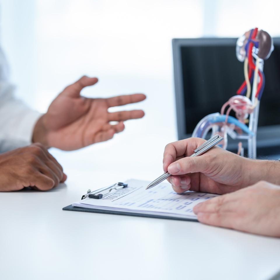 close-up of male patient consultation with doctor, explaining model of reproductive system, possibly discussing prostate cancer, cystitis, or urinary tract infection.